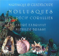 Mollusques du récif corallien - Exbrayat André ; Brassy Mathilde