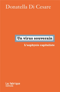 Un virus souverain. L’asphyxie capitaliste - Di Cesare Donatella ; Dobenesque Etienne
