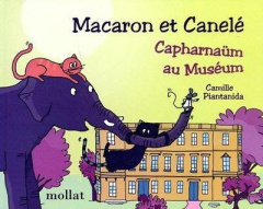 Macaron et Canelé : Capharnaüm au Muséum - Piantanida Camille