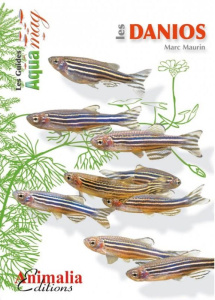 Les danios - Maurin Marc