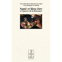 Santé et bien-être à l'épreuve de la littérature - Cabral Maria de Jesus ; Domingues de Almeida José