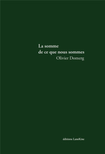 la somme de ce que nous sommes - Domerg Olivier
