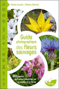 Guide photographique des fleurs sauvages. 960 plantes de France à identifier par la couleur et la fo - Laroche Michel ; Menand Mathieu