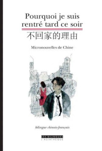 Pourquoi je suis rentré tard ce soir. Micronouvelles de Chine, Edition bilingue français-chinois - Poizat-Xie Honghua ; Goldschmidt-Clermont Delphine
