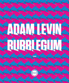 Bubblegum - Levin Adam ; Berrée Maxime