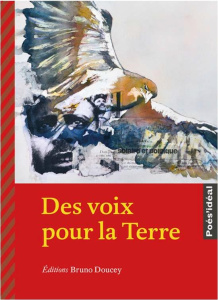 Des voix pour la Terre - Doucey Bruno ; Kobel Pierre ; Lefauconnier Ariane