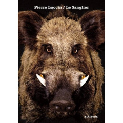 Le Sanglier - Luccin PIerre