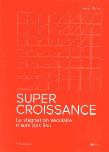 Supercroissance. La stagnation séculaire n'aura pas lieu - Hafied Faÿçal