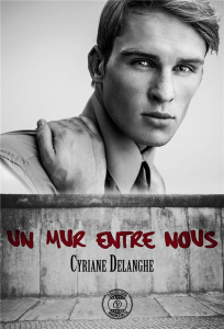 Un mur entre nous - Delanghe Cyriane