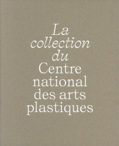 La collection du Centre national des arts plastiques - Salmon Béatrice ; Chapuis Nathalie