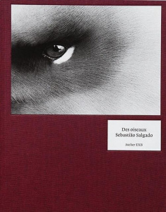 Des oiseaux - Salgado Sebastião ; Orsenna Erik ; Séclier Philipp