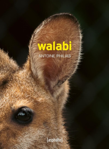 Walabi - Philias Antoine