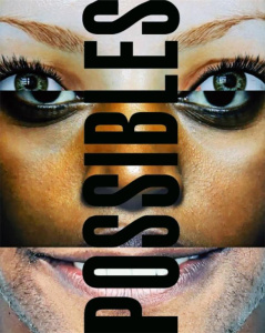 La fusion des possibles - Moulon Dominique