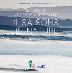 4 saisons de nature. Du Luberon à la montagne de Lure - Amir Magali ; Santoni Dominique ; Tatin David
