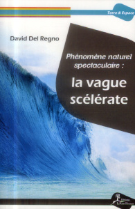 Phénomène naturel spectaculaire : la vague scélérate - Del Regno David