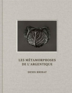 Les Métamorphoses de l'argentique - Brihat Denis