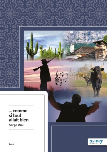 ... Comme si tout allait bien - Vial Serge