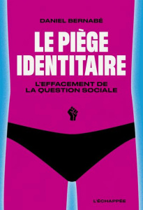 Le Piège identitaire. L’effacement de la question sociale - Bernabé Daniel ; Marcolini Patrick ; Goicovich Vic