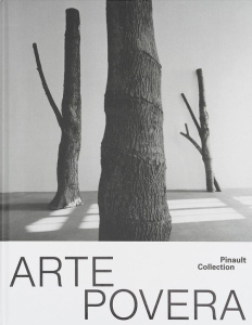Arte povera. 300 millions d’années, Edition bilingue français-anglais - Christov-Bakargiev Carolyn ; Pinault François ; Gu
