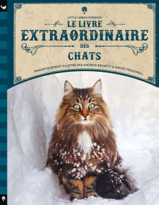 Le livre extraordinaire des chats - Beckett Andrew ; Treadwell Simon ; Taylor Barbara