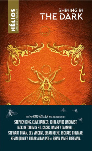 Shining in The Dark - Lilja Hans-Ake ; King Stephen ; Ketchum Jack ; Hol