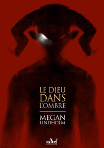 Le dieu dans l'ombre - Lindholm Megan ; Richetin Claudine