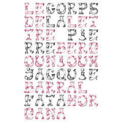 Le corps de la lettre - Bergounioux Pierre ; Barral Jacquie