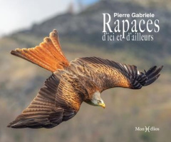 Rapaces d'ici et d'ailleurs - Gabriele Pierre