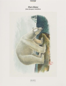 Ours blanc. Une illustration imprimée sur un papier de création avec 1 livet autour de l'oeuvre - Audubon John-James