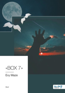 BOX 7 - Maze Evy