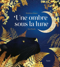 Une ombre sous la lune - Schiavo Maddalena ; Zanella Susy