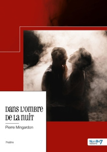 Dans l'ombre de la nuit - Mingardon Pierre