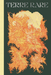 Terre rare - Vuillier Clément