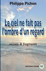 Le ciel ne fait pas l'ombre d'un regard - Pichon Philippe
