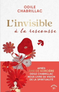 L'invisible à la rescousse - Chabrillac Odile