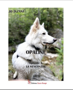 Opaline. Episode 1, La rencontre - Inzani Jo