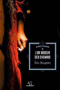 L'Or obscur des chemins - Brogniet Eric