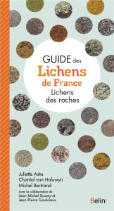 Guide des lichens de France. Lichens des roches - Van Haluwyn Chantal ; Asta Juliette ; Bertrand Mic