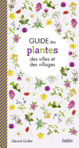 Guide des plantes des villes et villages - Guillot Gérard ; Eyssartier Guillaume ; Veaux Amél
