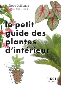 Le petit guide des plantes d'intérieur. 70 variétés pour embellir son salon - Collignon Philippe ; Herzog Lise