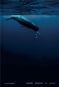 L'autre horizon du monde - Seguin Franck ; Ono-dit-Biot Christophe ; L'Hermit