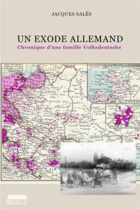 Un exode allemand. Chronique d'une famille Volksdeutsche - Salès Jacques