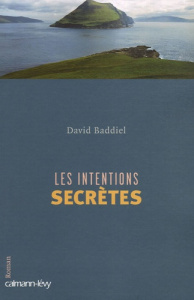 Les intentions secrètes - Baddiel David ; Peters Dominique