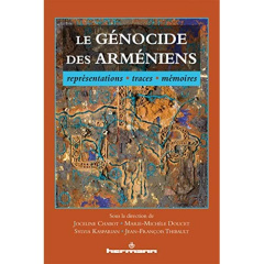 Le génocide des Arméniens. Représentations, traces, mémoires - Chabot Joceline ; Doucet Marie-Michèle ; Kasparian