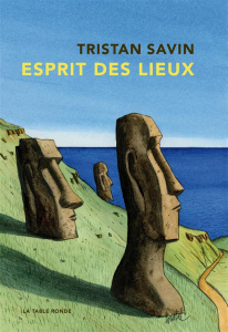 Esprit des lieux. Chroniques du monde - Savin Tristan ; Tesson Sylvain