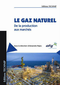 Le gaz naturel. De la production aux marchés - Rojey Alexandre ; Cornot-Gandolphe Sylvie ; Jost J