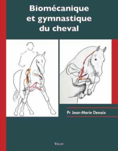 Biomécanique et gymnastique du cheval - Denoix Jean-Marie ; Bonneau Jean-Maurice