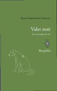 Valet noir. Vers une écologie du récit - Cavallin Jean-Christophe