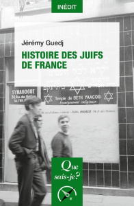 Histoire des juifs de France - 1re édition - Guedj Jérémy