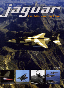 Jaguar. Le félin en action - Vezin Alain ; Longuet Hervé